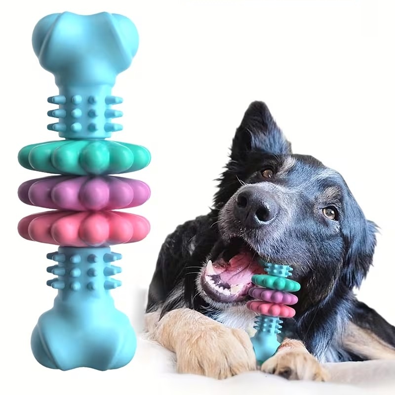Textured Dog Chew Bone Toy